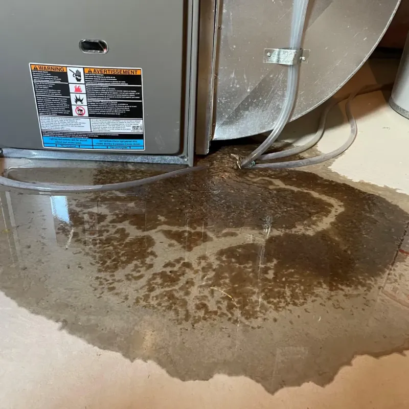 Appliance Leak Cleanup in Copley, OH